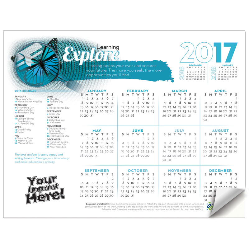 Adhesive Wall Calendar - 2017 Explore Learning (Education)