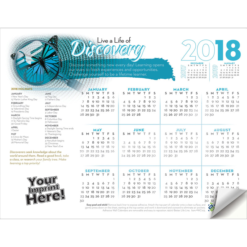 Adhesive Wall Calendar - 2018 Live a Life of Discovery (Education)